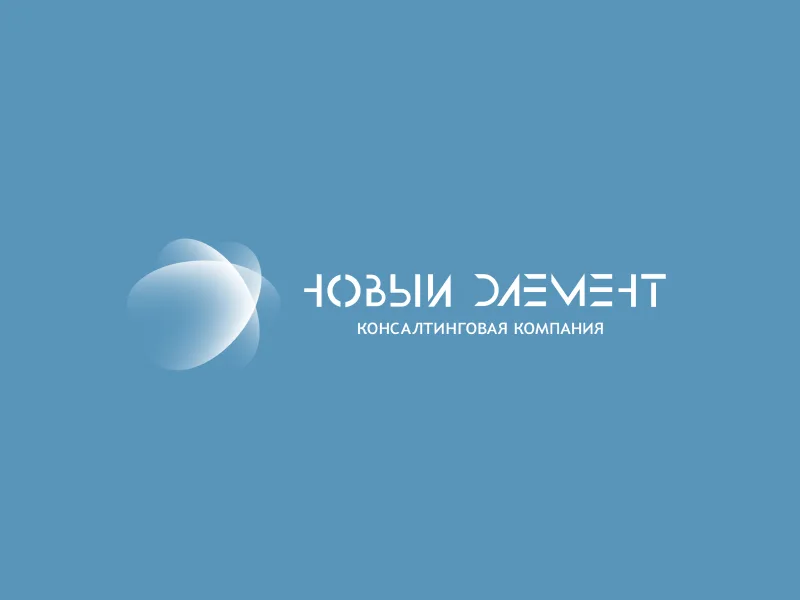 Консалтинговая компания «Новый Элемент» 