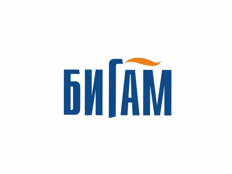 Интернет-магазин для «Бигам»